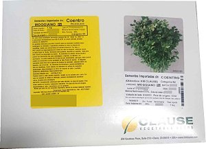 Sementes De Coentro Moggiano Caixa com 1kg - HM Clause