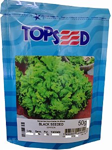 Sementes Alface Crespa Black Seeded Simpson C/ 50 Gramas