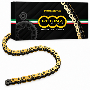 Corrente de transmissão Regina - Touring 525X124 - 137ZRT/018 - Dourada
