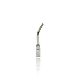 Inserto sub gengival G2 - Dentscler