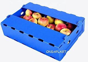 Caixa Polionda para Frutas