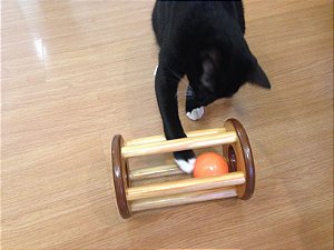 Brinquedo para Gato - Carretel