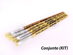 Kit para Pintura em Cerâmica e Artesanato 6256 - 5 pincéis (Pinctore/TIGRE)