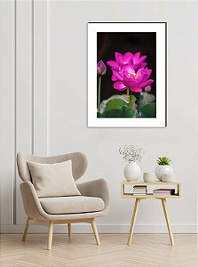 Quadro decorativo Flor Lotus Rosa [BoxMadeira]