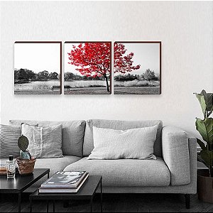 Trio de quadros decorativos paisagem Árvore vermelha [BOX DE MADEIRA]