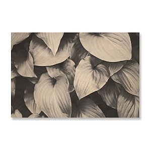 Print - Leaves