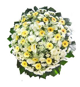 H - Coroa de Flores Sensibilidade