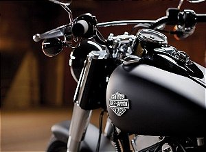 Quadro Harley-Davidson