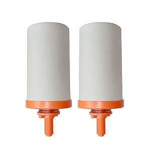 2 unid - Vela Filtro de Barro Biomedsy UP 10 – Alcalina, Mineralizante, Classe A, pH Elevado