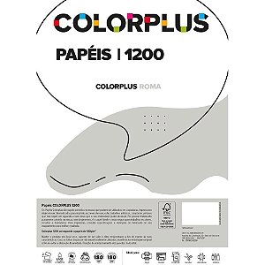 Papel Cartolina Dupla Face Color PLUS 48X66CM 120G Cinza