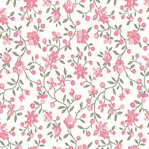 Plastico Adesivo 45CMX15M Clarice Rosa