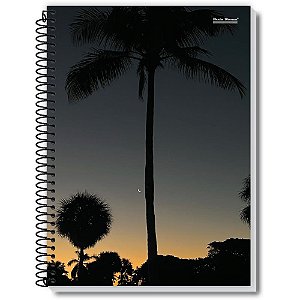 Caderno 01X1 Flexivel NEW 96FLS. PCTE C/10
