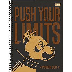 Caderno 10X1 Capa Dura Power DOG 160FLS.