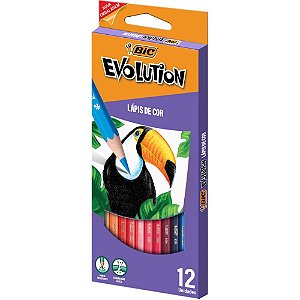 Lapis de COR Sextavado Evolution 12 Cores