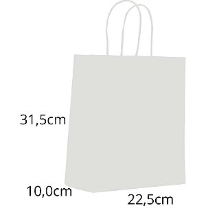 Sacola para Presente Lisa Branca M 22,5X31,5X10CM PCT.C/10