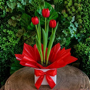 Vaso de Tulipa