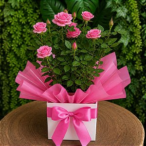 Vaso de mini rosas (cores variadas)