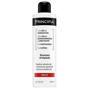 PRINCIPIA SHAMPOO ANTIQUEDA 250ML AQ-01