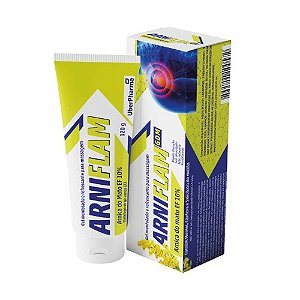 ARNIFLAM GEL ARNICA DO MATO EF 10% C/MENTOL E CÂNFORA 120G