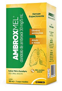 Cloridrato De Bromexina 4mg/5mL Xarope Infantil 120mL Globo