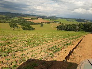 Fazenda com 140 alqueires à Venda entre Ipiúna e Santa Rita de Caldas /MG