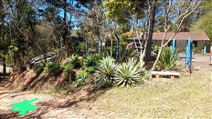 Fazenda com 40 Alqueires em Ouro Fino, Minas Gerais