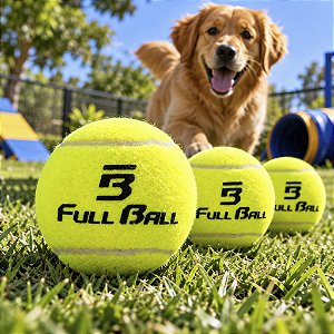Kit 3 Bolas Para Pet Brincadeira Cachorro Cão Original Tenis