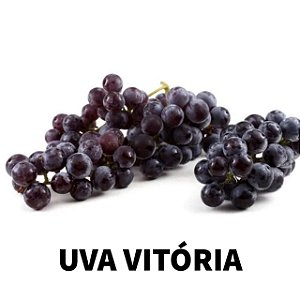 Kit com 5 Mudas uva Vitória sem semente Enxertada