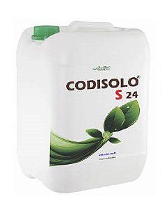 CODISOLO S24