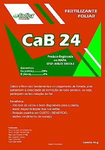 CAB24