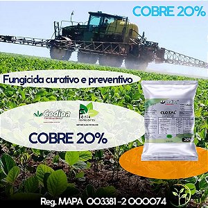 CLOZAL COBRE 20% ENXOFRE 10% CÁLCIO 4.8%