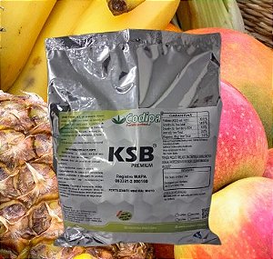 KSB PREMIUM