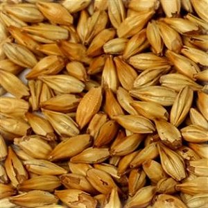 MALTE CHATEAU CARA BLOND BELGA (CARA 20) - Saca 25 Kg