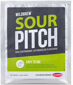 FERMENTO SOUR PITCH