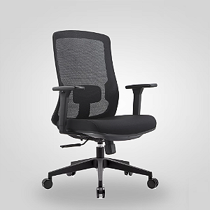 Cadeira de Escritório Ergonômica Nr17 Diretor BLM189 preta