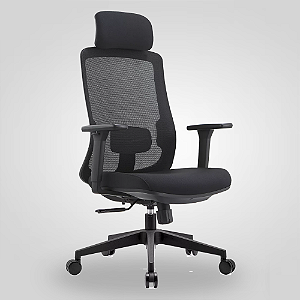Cadeira de Escritório Ergonômica Nr17 Presidente BLM189 preta