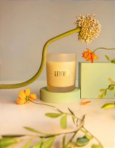 Vela perfumada patbo vanilla bloom