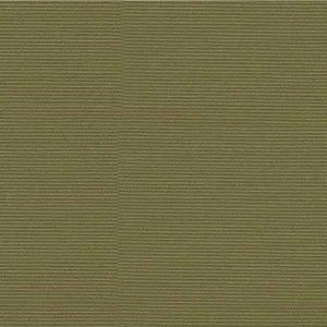 Belize liso verde