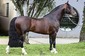 Jalisco da GAP São Pedro