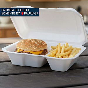 Embalagem Isopor c/2 divisórias HF121