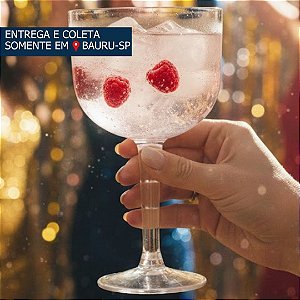 Taça em Acrílico PIT 500ml Gin com 4 unidades