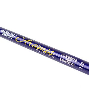 Vara Telescópica Aramis 22% Carbono