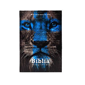 Bíblia Sagrada ARC Capa Dura Ilustrada – Sociedade Bíblica do Brasil