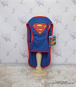 Fantasia Superman Warner Bross