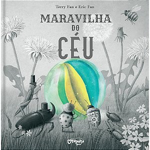 Livro - Maravilha Do Céu