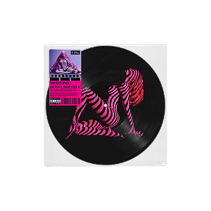 Madonna - CONFESSIONS II (Grindr Exxxclusive Picture Disc) LP