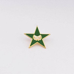 Pin Estrela Fraternidade Feminina