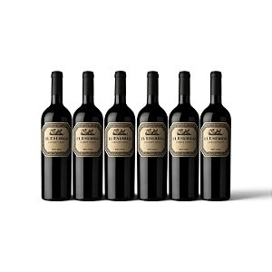 EL ENEMIGO CABERNET FRANC 2023 Cx 6