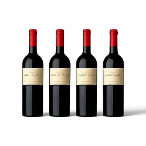 ANGÉLICA ZAPATA CABERNET FRANC - Cx 4