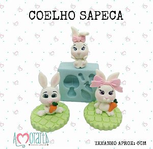 Molde Coelho Sapeca